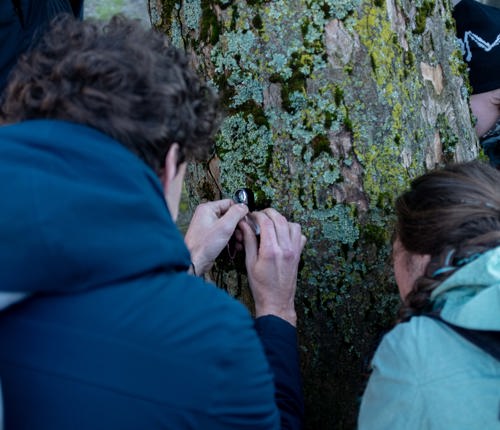 Workshop: Korstmossen luisteren