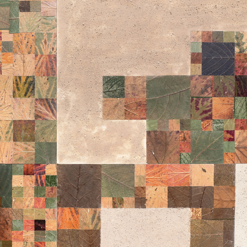 Holy Shit - Kunst over een veranderend landschap