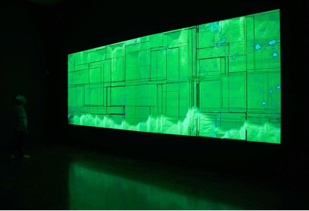 Driessens & Verstappen - E-volved Cultures