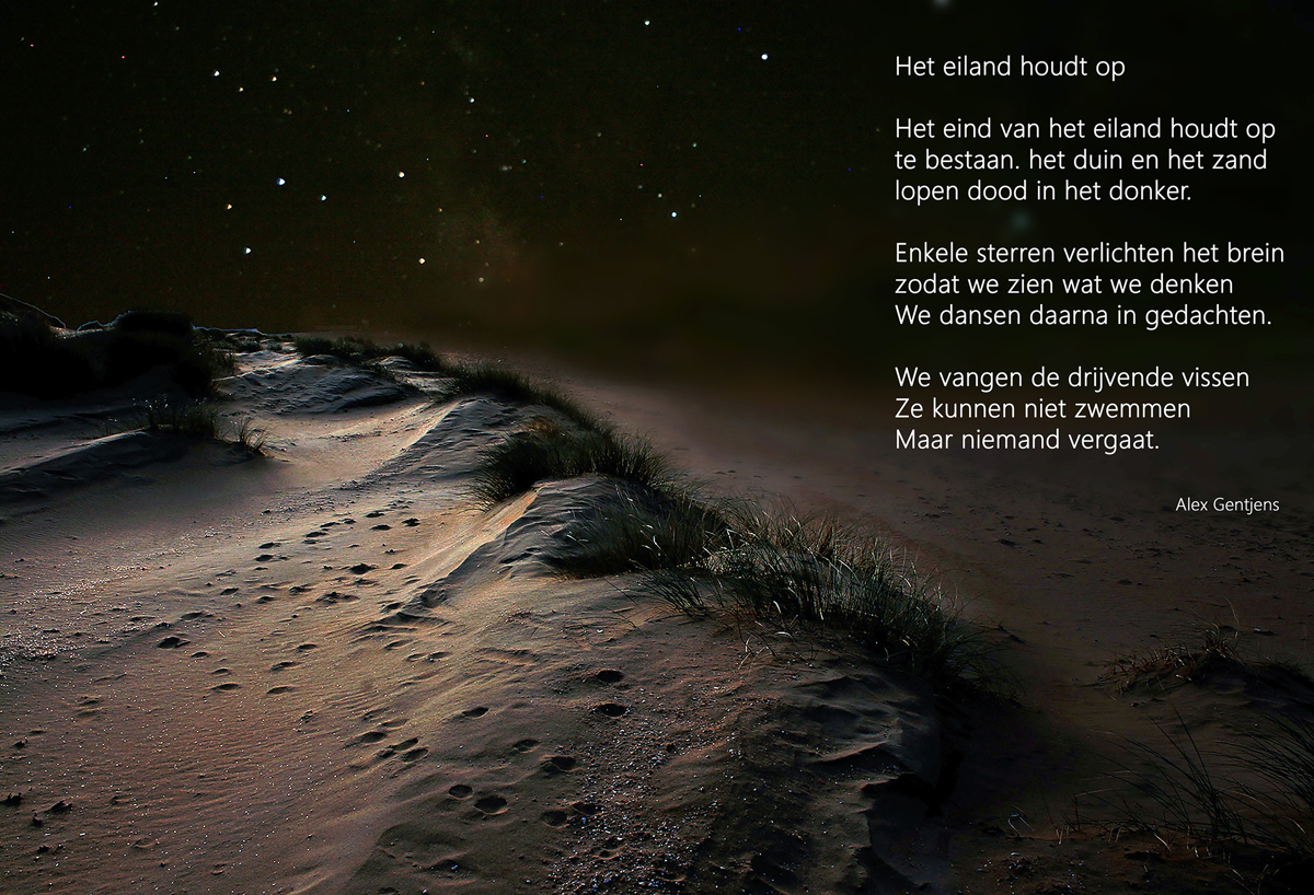 <p><em>Het eiland - Pieter Leeflang</em></p>