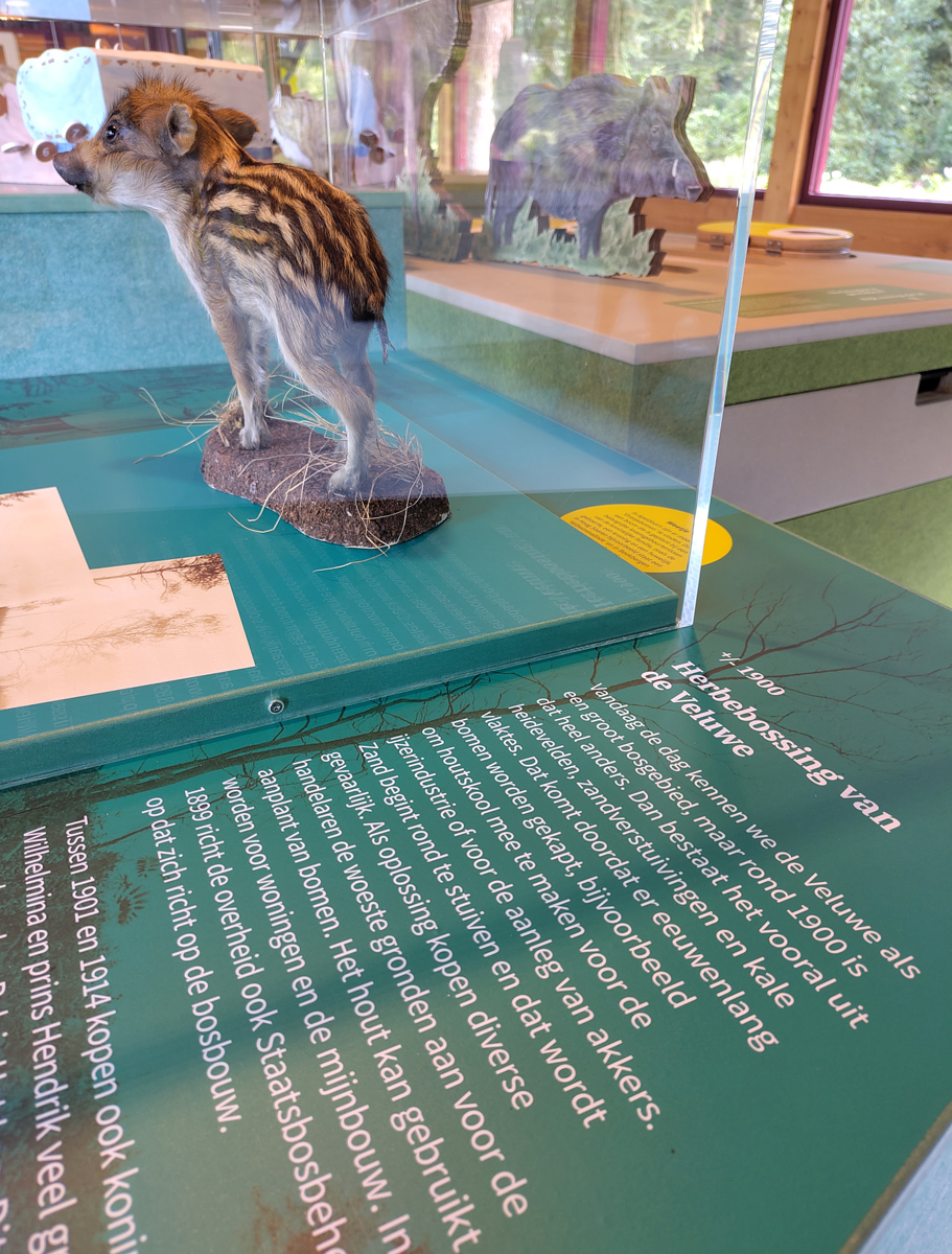 Apeldoorn als kruispunt van de Hanze