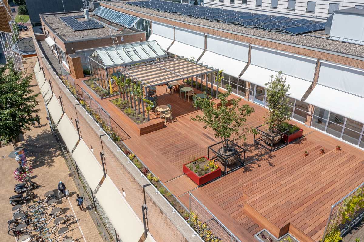 CODA Daktuin (kas en pergola, 40m2, tot 40 personen)