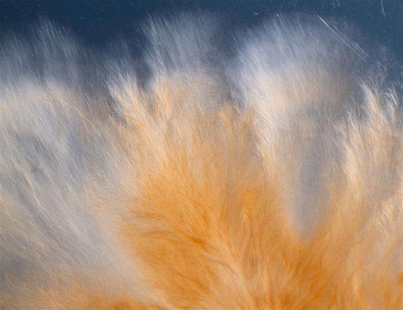 The mushroom at the end of the world