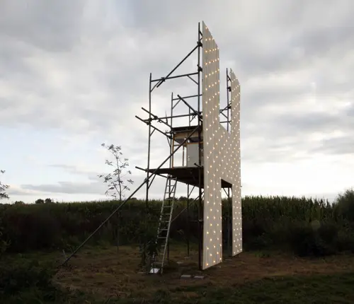 Wilhelminaring 2025 - Hester Oerlemans (EN)