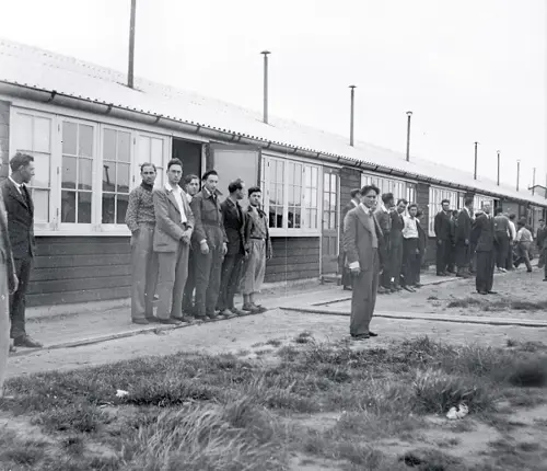 De wortel van gras - Van joodse werkkampen tot Auschwitz