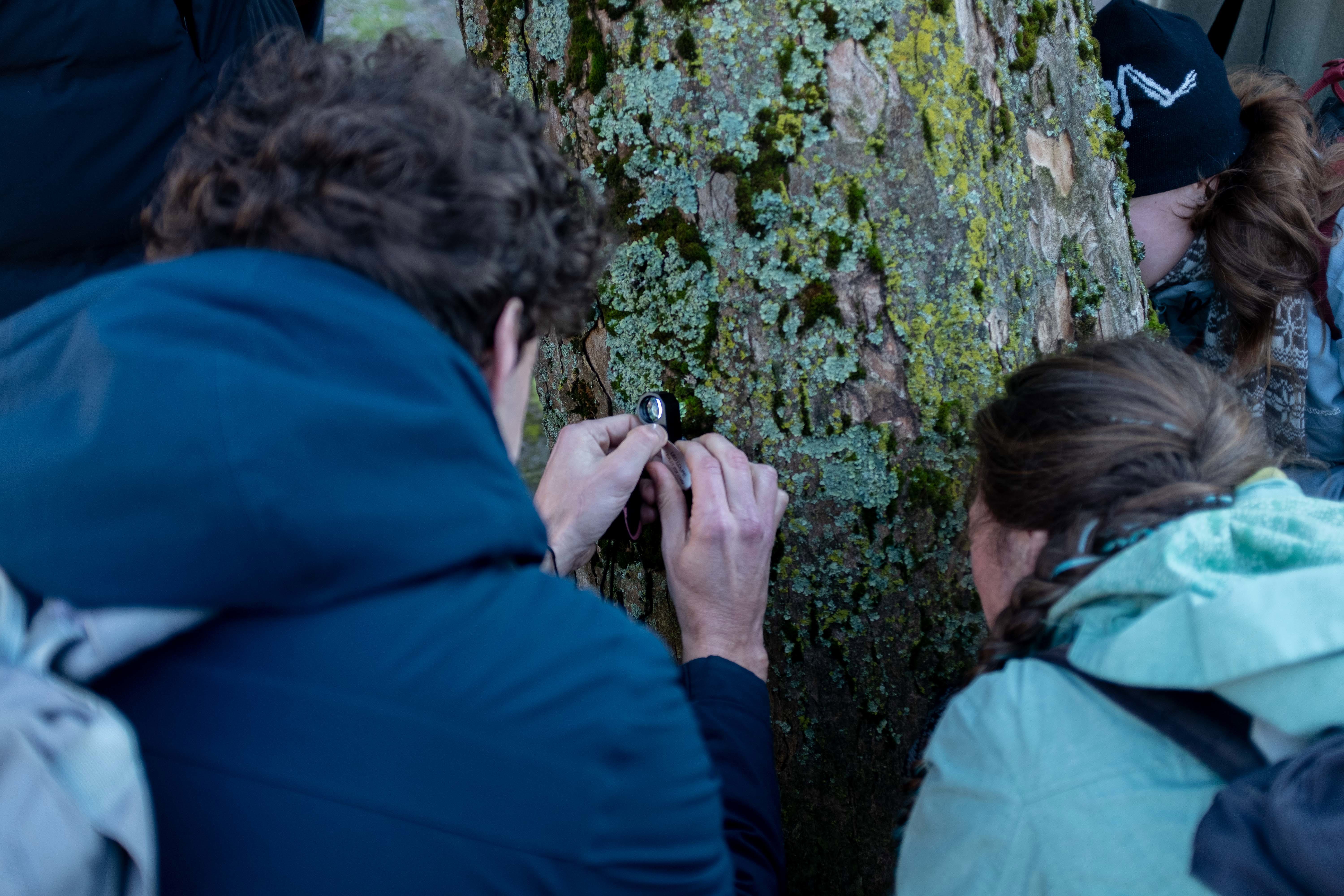 Workshop: Korstmossen luisteren
