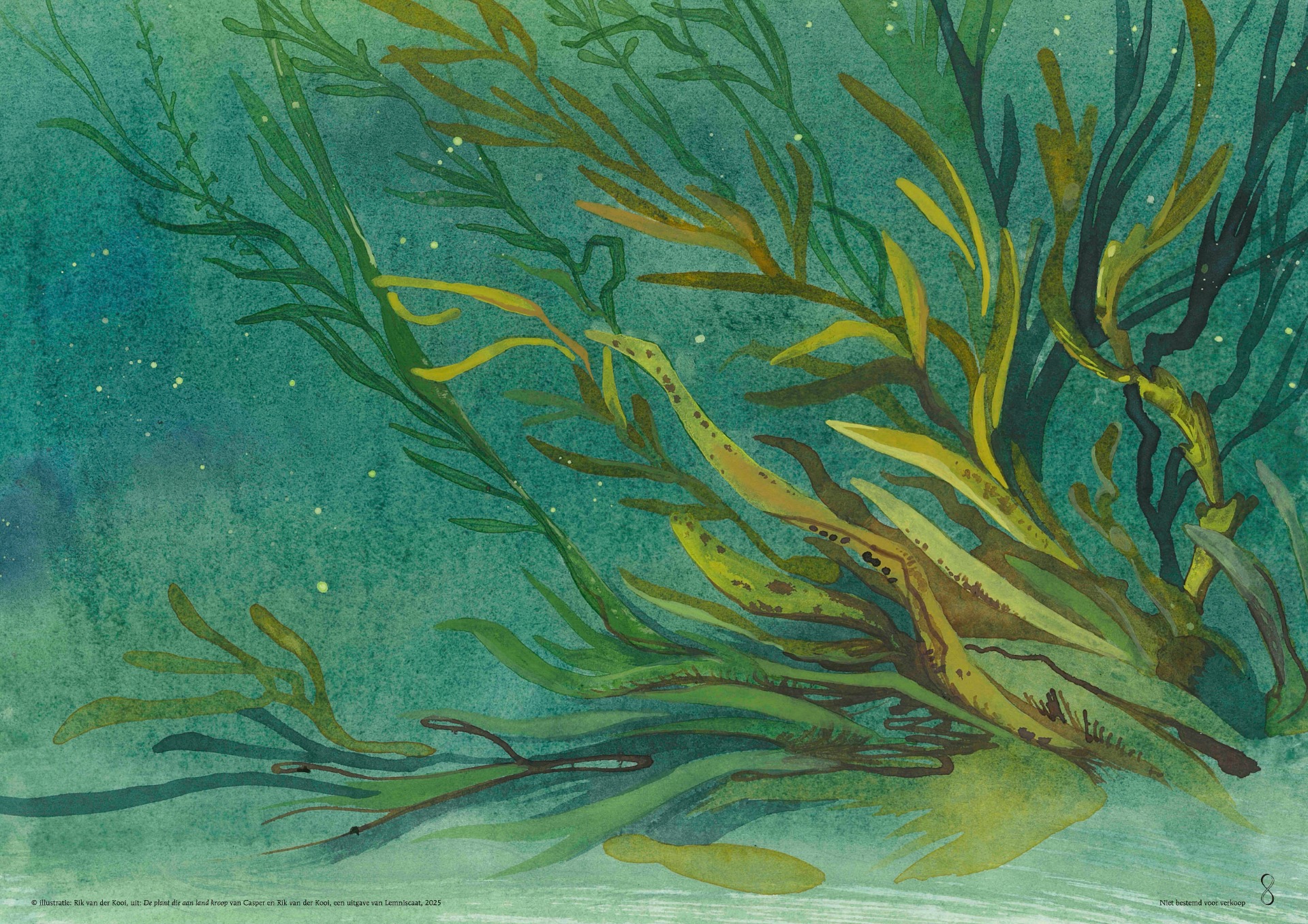 Workshop Botanisch tekenen