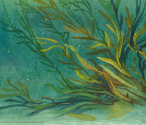 Workshop Botanisch tekenen