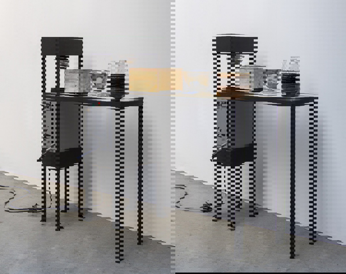 <h3 id="isPasted">Beyond Plastic BioPress</h3> <p>De Beyond Plastic BioPress is een sterke hittepers waarmee veel verschillende organische materialen (zoals voedselafval) kunnen worden omgetoverd in biologisch afbreekbare producten, zoals borden, kommen of bekers. Er kunnen zo voorwerpen voor eenmalig gebruik worden gemaakt, ter vervanging van wegwerpplastic.</p> <p><strong>Techniek:</strong> Bio-press, professional (training vereist) <br><strong>Materialen:</strong> Verschillende soorten gedroogde biologische materialen zoals koffie, brood, mandarijnenschillen of gras</p>