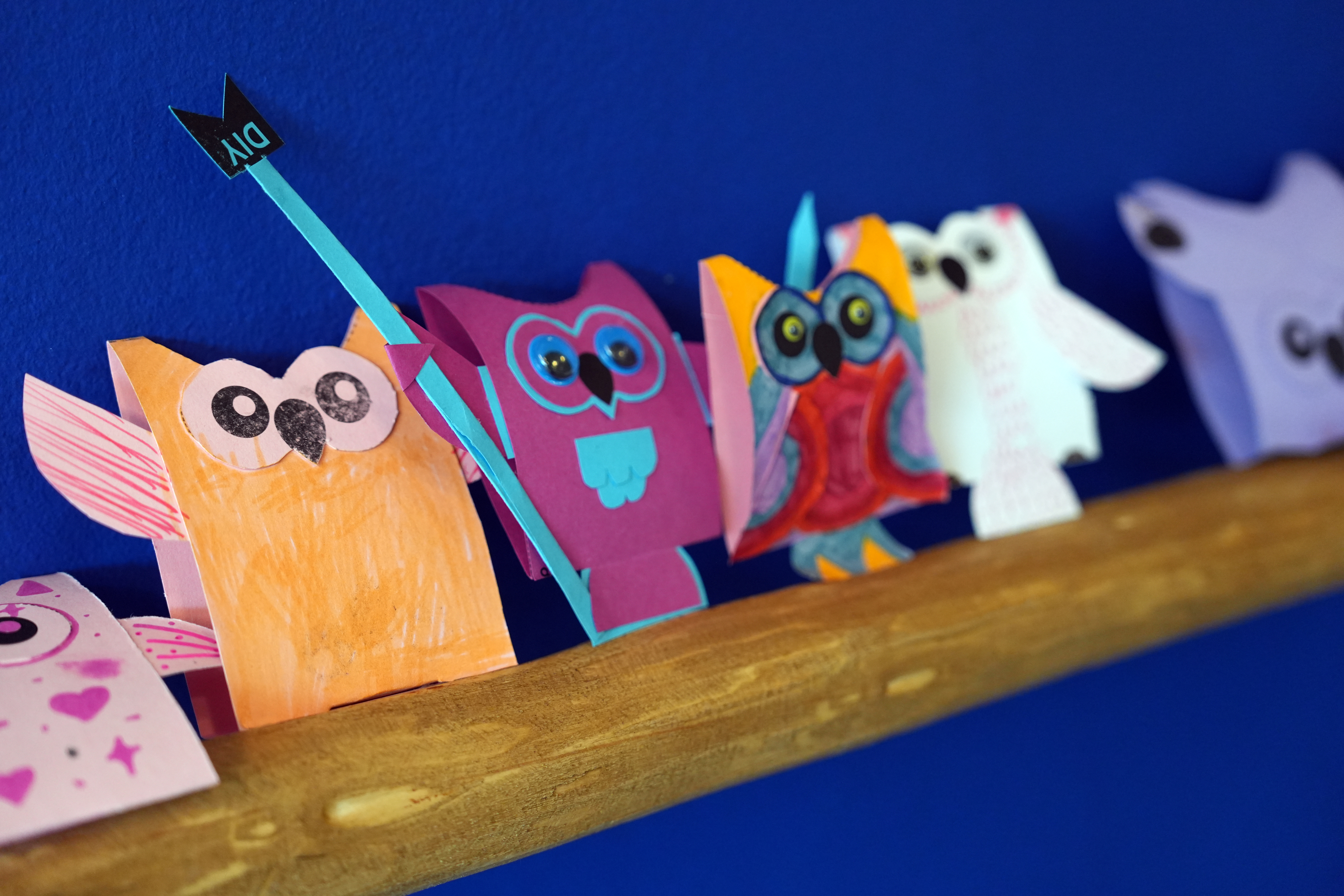 CODA Atelier x De Paddenstoel