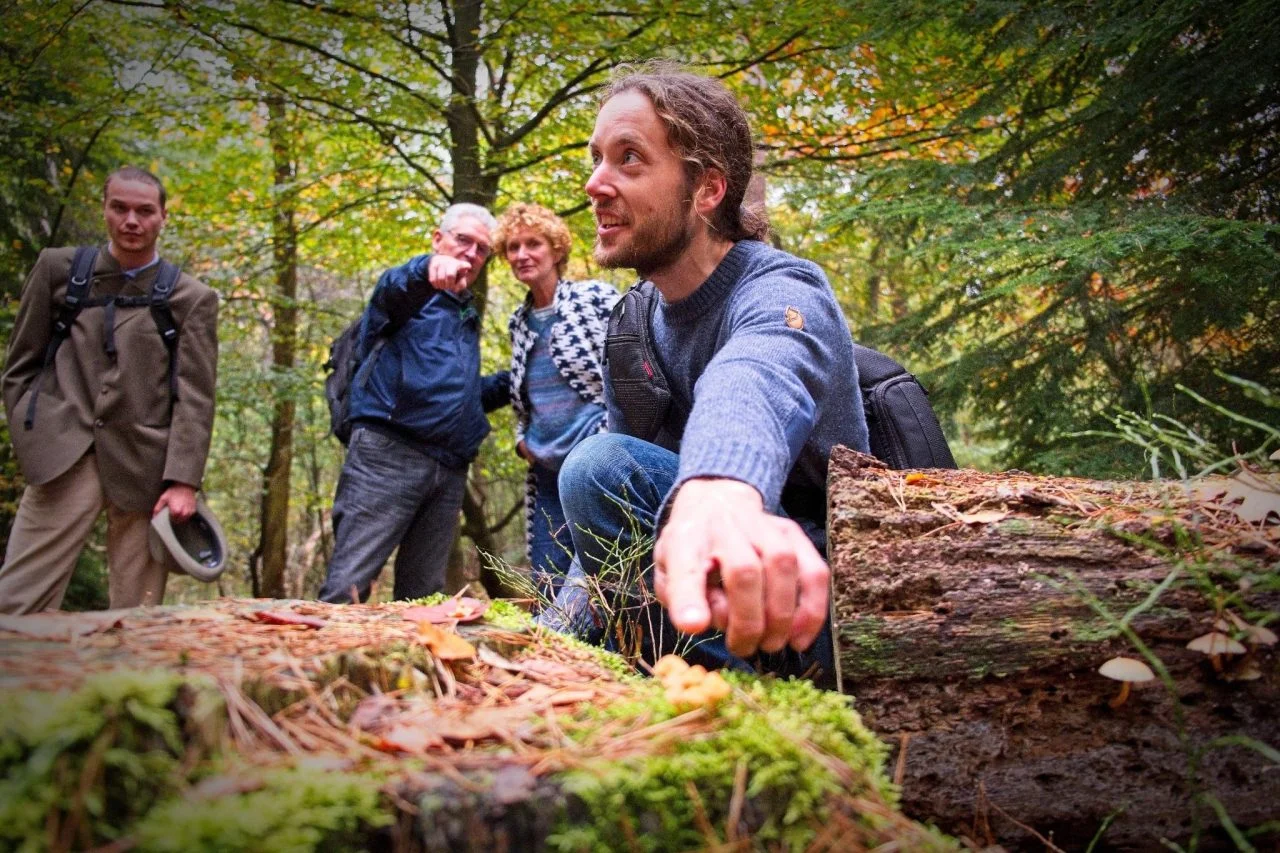 Workshop: Kweek je eigen zwam met De Paddenstoelenman