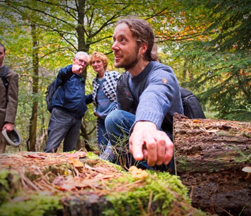 Workshop: Kweek je eigen zwam met De Paddenstoelenman