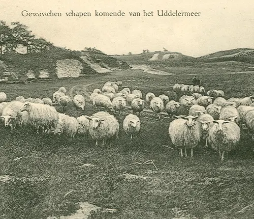 Expositie Atlas van Apeldoorn: Uddel