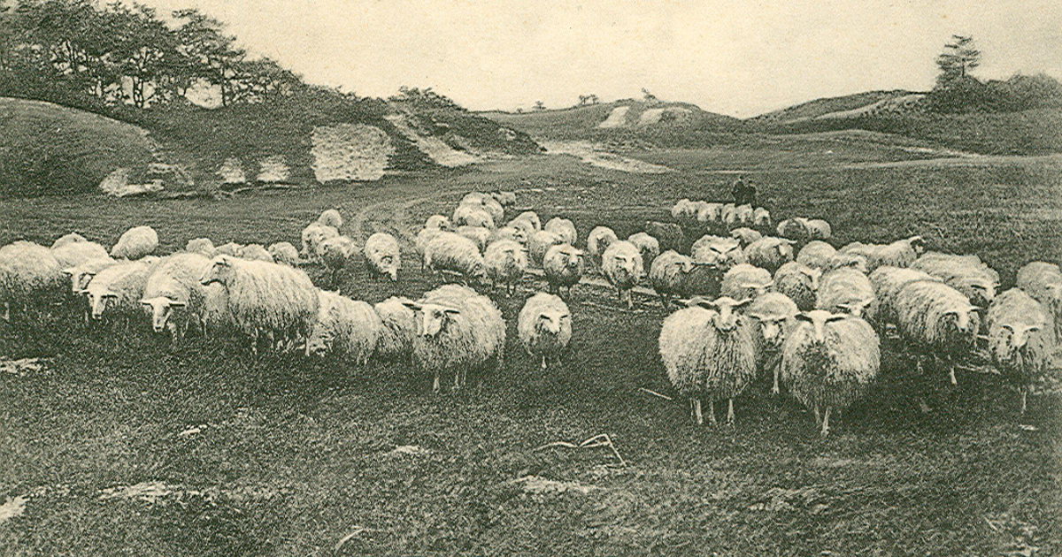 Expositie Atlas van Apeldoorn: Uddel - CODA