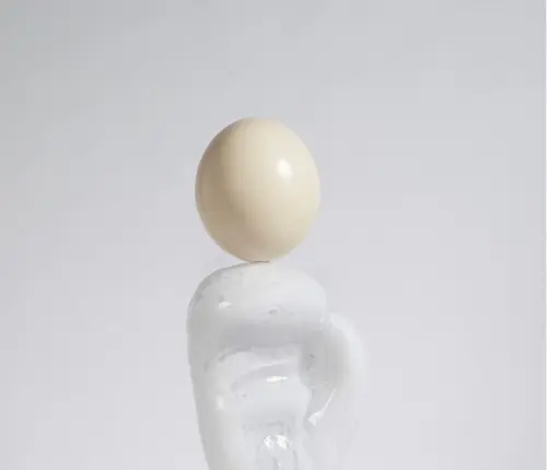 The link - A selection of new additions to the collection