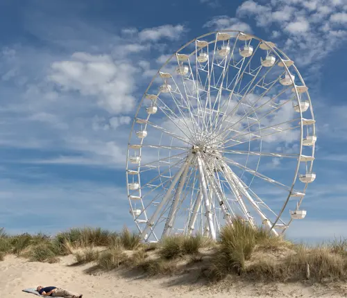 Kunst in Zuid – fotografie, keramiek en houtdraaiwerk