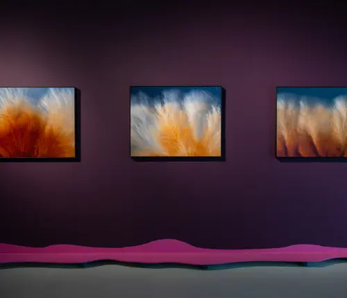 Familiedag x Meivakantie - Kroon op de taart