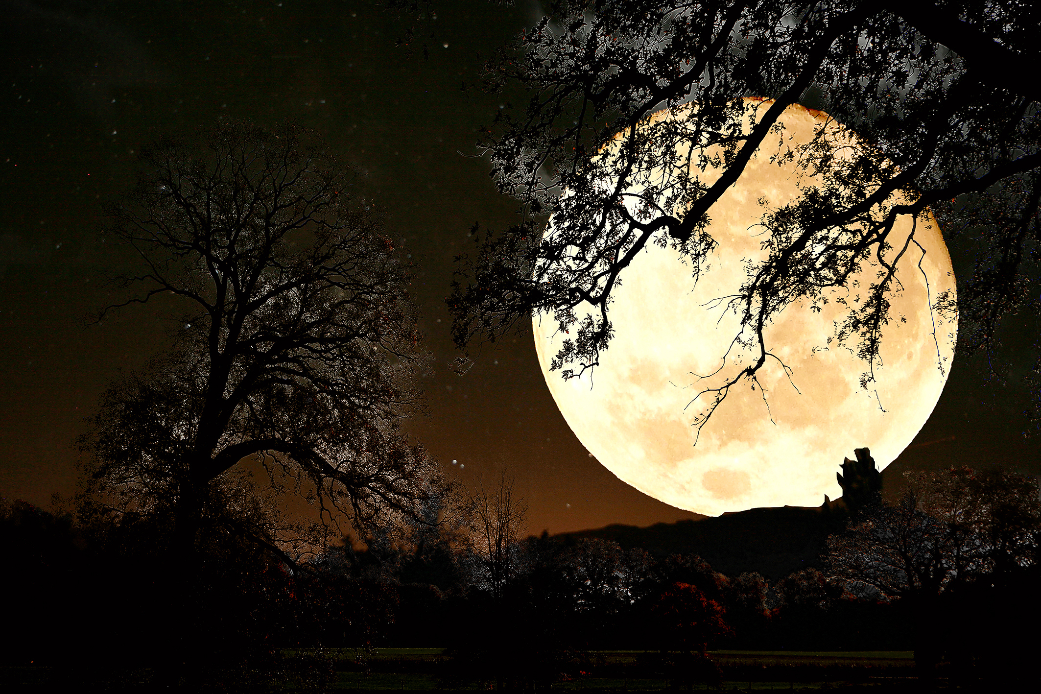 Kunst in Zuid – Fotografie, gedichten en collages