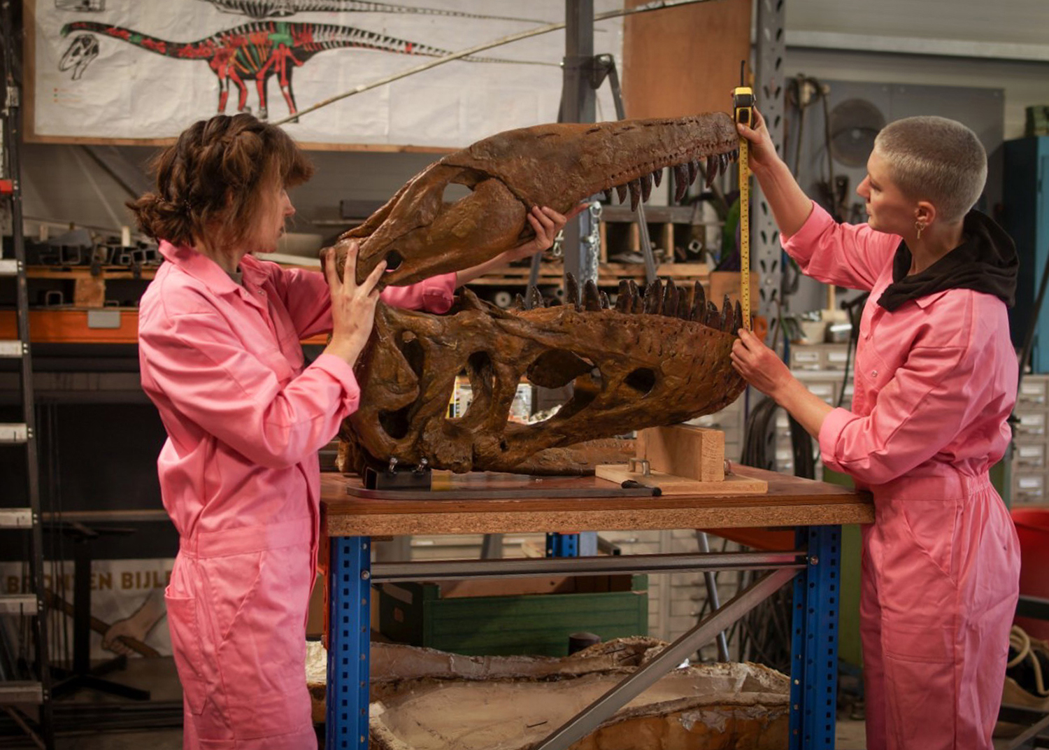 Weekend van de Wetenschap - Dinomiddag (8+)